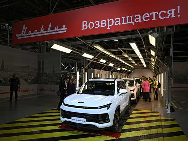 Рассказал