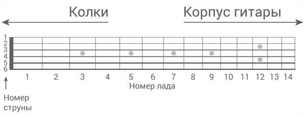 Основы