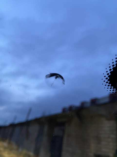 4.