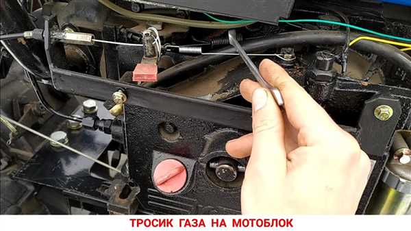 Шаг